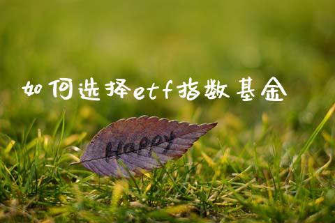 如何选择etf指数基金_https://cj002.lansai.wang_理财问答_第1张