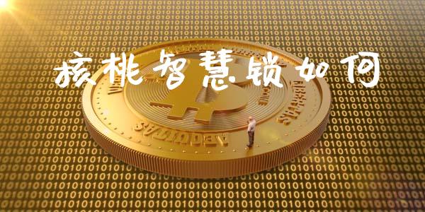 核桃智慧锁如何_https://cj002.lansai.wang_会计问答_第1张