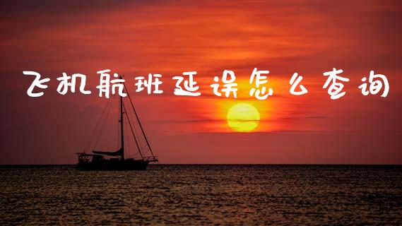 飞机航班延误怎么查询_https://cj002.lansai.wang_保险问答_第1张