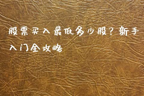 股票买入最低多少股？新手入门全攻略_https://cj002.lansai.wang_会计问答_第1张