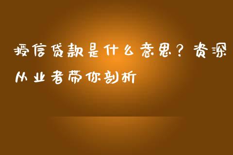 授信贷款是什么意思？资深从业者带你剖析_https://cj002.lansai.wang_会计问答_第1张