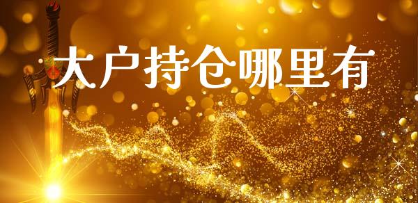 大户持仓哪里有_https://cj002.lansai.wang_财经问答_第1张
