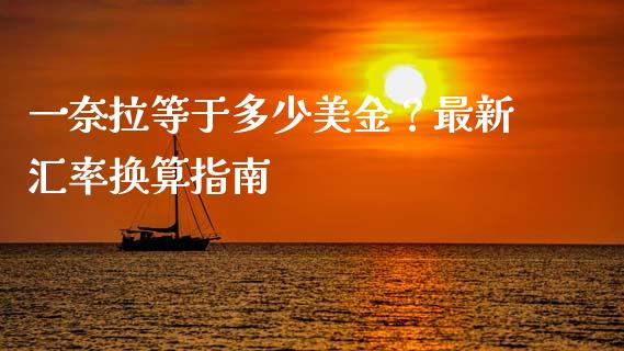 一奈拉等于多少美金？最新汇率换算指南_https://cj002.lansai.wang_会计问答_第1张