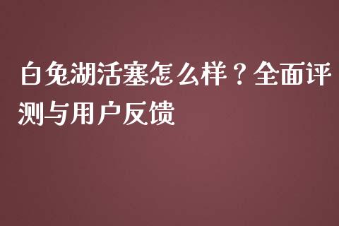 白兔湖活塞怎么样？全面评测与用户反馈_https://cj002.lansai.wang_理财问答_第1张