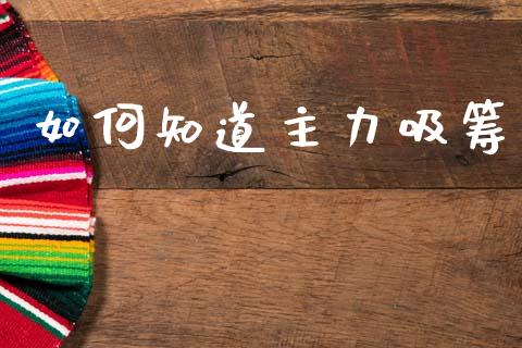 如何知道主力吸筹_https://cj002.lansai.wang_期货问答_第1张