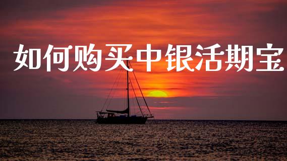 如何购买中银活期宝_期货问答_第1张_财经百问网 如何购买中银活期宝_https://cj002.lansai.wang_期货问答_第1张