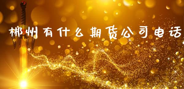 郴州有什么期货公司电话_https://cj002.lansai.wang_期货问答_第1张