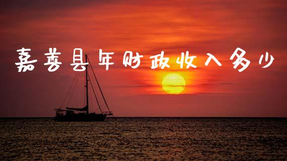 嘉善县年财政收入多少_https://cj002.lansai.wang_期货问答_第1张