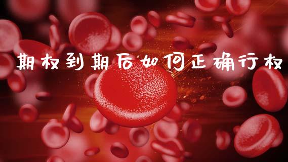 期权到期后如何正确行权_https://cj002.lansai.wang_财经百问_第1张