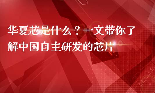 华夏芯是什么？一文带你了解中国自主研发的芯片_https://cj002.lansai.wang_金融问答_第1张