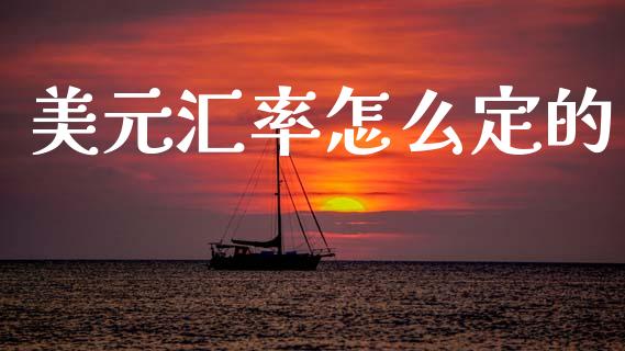 美元汇率怎么定的_https://cj002.lansai.wang_财经问答_第1张