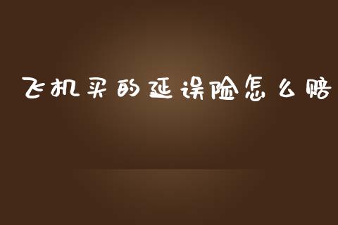 飞机买的延误险怎么赔_https://cj002.lansai.wang_保险问答_第1张