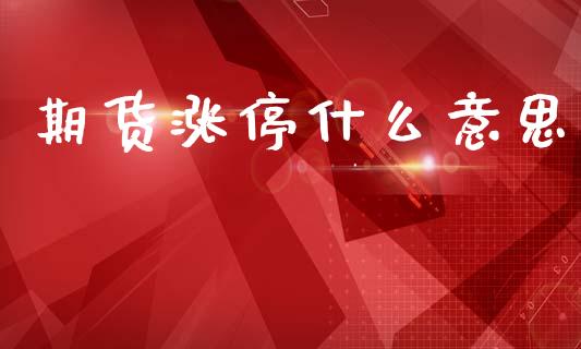 期货涨停什么意思_https://cj002.lansai.wang_保险问答_第1张