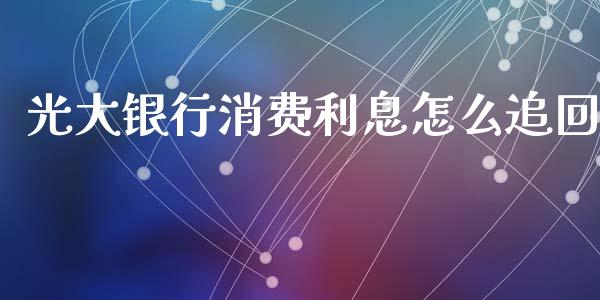 光大银行消费利息怎么追回_https://cj002.lansai.wang_金融问答_第1张