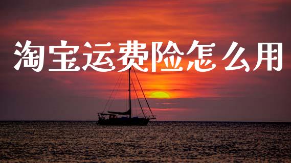 淘宝运费险怎么用_https://cj002.lansai.wang_保险问答_第1张