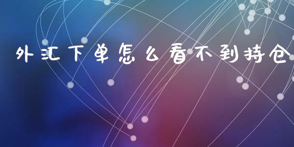 外汇下单怎么看不到持仓_https://cj002.lansai.wang_财经问答_第1张