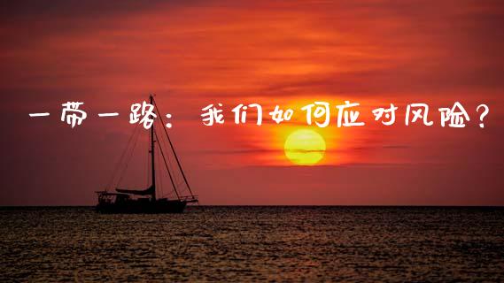一带一路：我们如何应对风险？_https://cj002.lansai.wang_理财问答_第1张