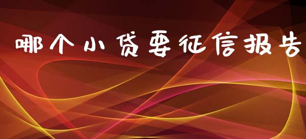 哪个小贷要征信报告_https://cj002.lansai.wang_理财问答_第1张