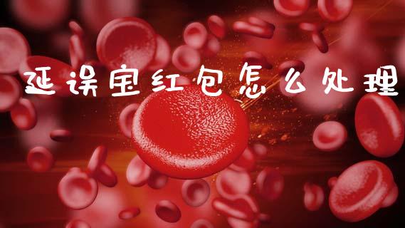 延误宝红包怎么处理_https://cj002.lansai.wang_保险问答_第1张