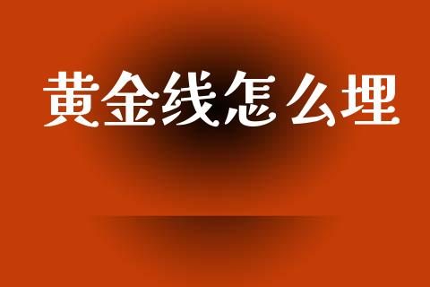 黄金线怎么埋_https://cj002.lansai.wang_理财问答_第1张