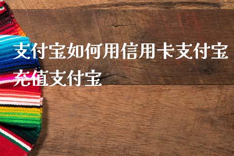 支付宝如何用信用卡支付宝充值支付宝_https://cj002.lansai.wang_理财问答_第1张