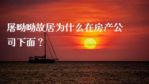 屠呦呦故居为什么在房产公司下面？_https://cj002.lansai.wang_会计问答_第1张
