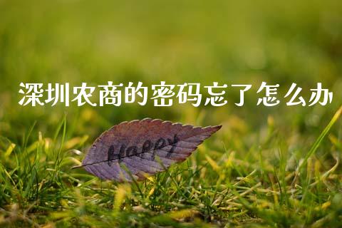 深圳农商的密码忘了怎么办_https://cj002.lansai.wang_金融问答_第1张