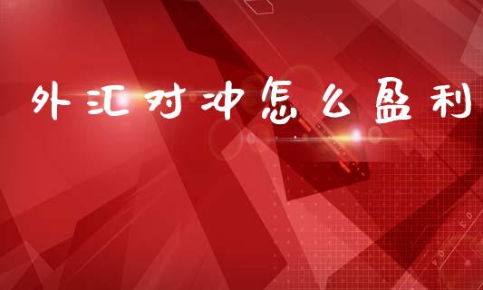 外汇对冲怎么盈利_https://cj002.lansai.wang_财经问答_第1张