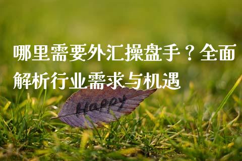 哪里需要外汇操盘手？全面解析行业需求与机遇_https://cj002.lansai.wang_期货问答_第1张