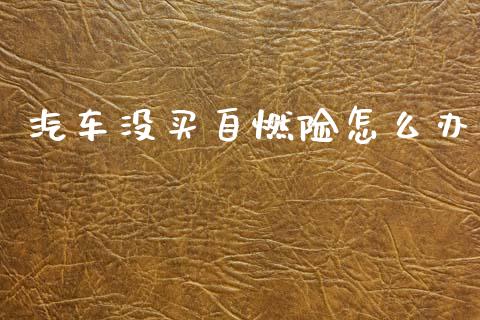 汽车没买自燃险怎么办_https://cj002.lansai.wang_保险问答_第1张