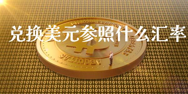 兑换美元参照什么汇率_https://cj002.lansai.wang_财经问答_第1张