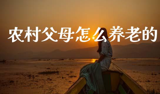 农村父母怎么养老的_https://cj002.lansai.wang_保险问答_第1张
