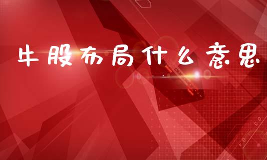 牛股布局什么意思_https://cj002.lansai.wang_股市问答_第1张