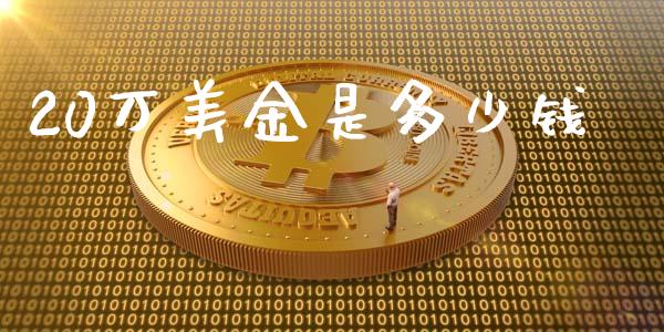 20万美金是多少钱_https://cj002.lansai.wang_理财问答_第1张