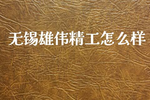 无锡雄伟精工怎么样_https://cj002.lansai.wang_财经百问_第1张