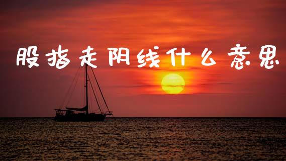 股指走阴线什么意思_https://cj002.lansai.wang_期货问答_第1张