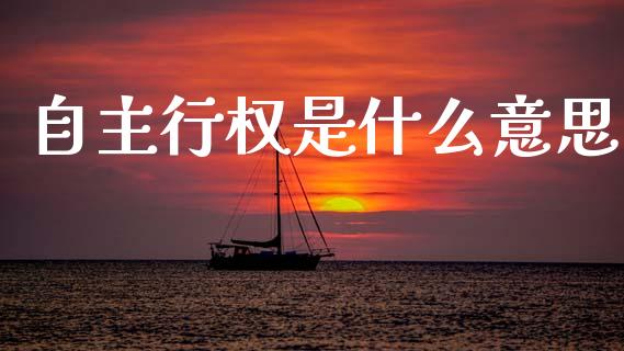 自主行权是什么意思_理财问答_第1张_财经百问网 自主行权是什么意思_https://cj002.lansai.wang_理财问答_第1张