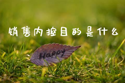 销售内控目的是什么_https://cj002.lansai.wang_会计问答_第1张