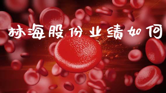林海股份业绩如何_https://cj002.lansai.wang_股市问答_第1张