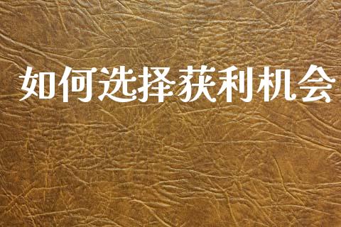 如何选择获利机会_https://cj002.lansai.wang_保险问答_第1张