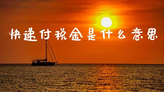 快递付税金是什么意思_https://cj002.lansai.wang_会计问答_第1张