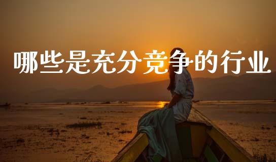 哪些是充分竞争的行业_保险问答_第1张_财经百问网 哪些是充分竞争的行业_https://cj002.lansai.wang_保险问答_第1张