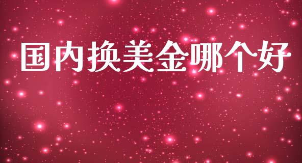国内换美金哪个好_https://cj002.lansai.wang_财经问答_第1张