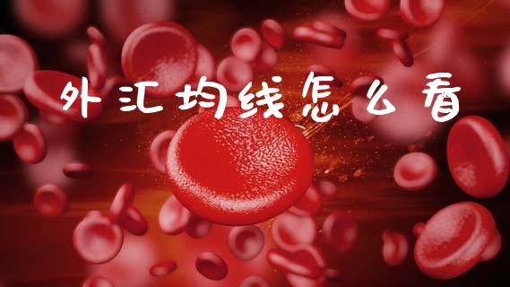 外汇均线怎么看_https://cj002.lansai.wang_财经问答_第1张