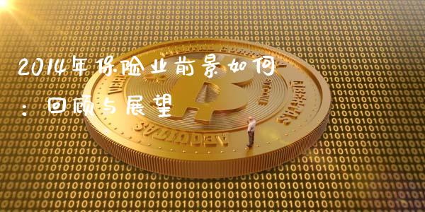 2014年保险业前景如何：回顾与展望_https://cj002.lansai.wang_会计问答_第1张