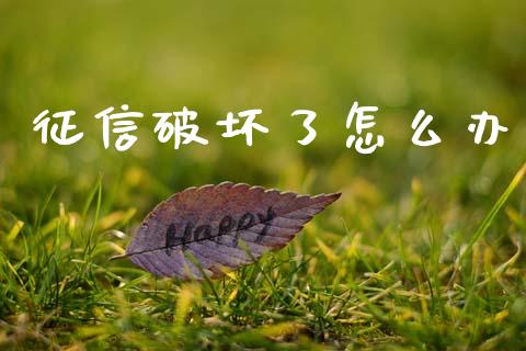 征信破坏了怎么办_https://cj002.lansai.wang_理财问答_第1张
