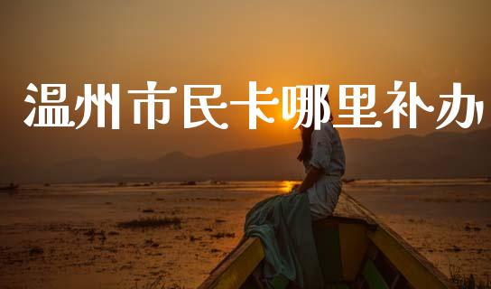 温州市民卡哪里补办_https://cj002.lansai.wang_财经问答_第1张