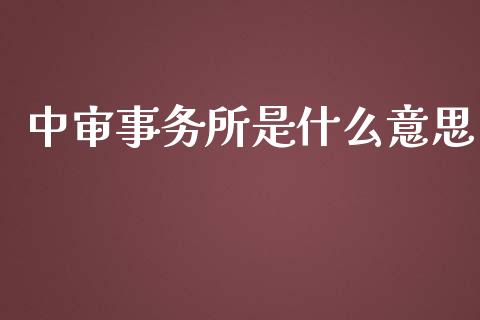 中审事务所是什么意思_https://cj002.lansai.wang_会计问答_第1张