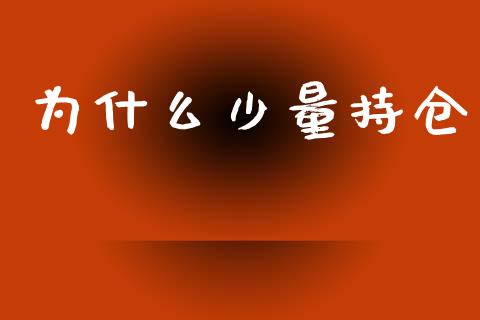 为什么少量持仓_https://cj002.lansai.wang_期货问答_第1张