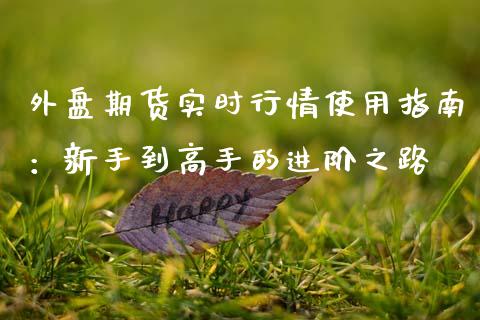 外盘期货实时行情使用指南：新手到高手的进阶之路_https://cj002.lansai.wang_理财问答_第1张